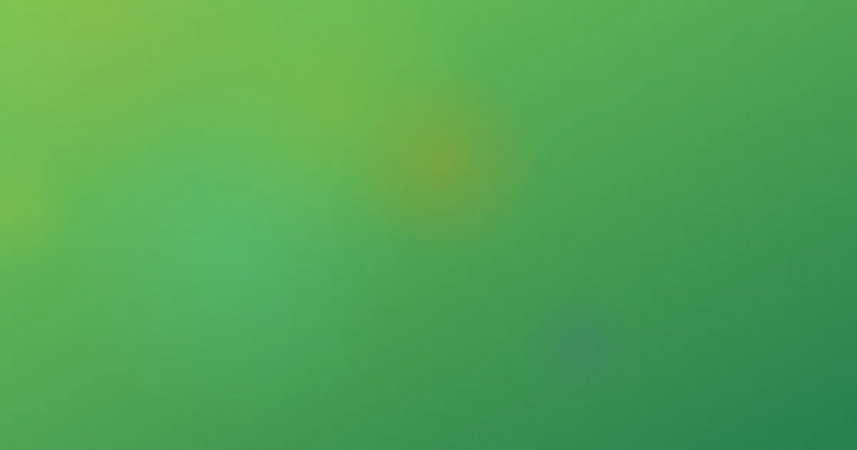 五月婷婷网站测评：避坑问答